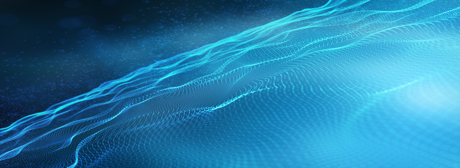 Network Çözümleri